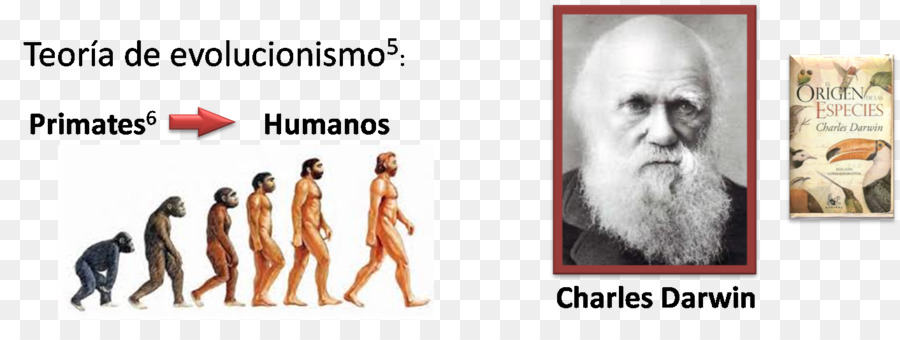 Über den Ursprung der Arten Menschlichen evolution Menschlichen Verhaltens Haare färben - Kardiale