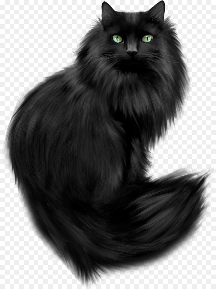 Gatto persiano gatto Maine Coon Tour Gatto nero, Clip art Gattino - gattino