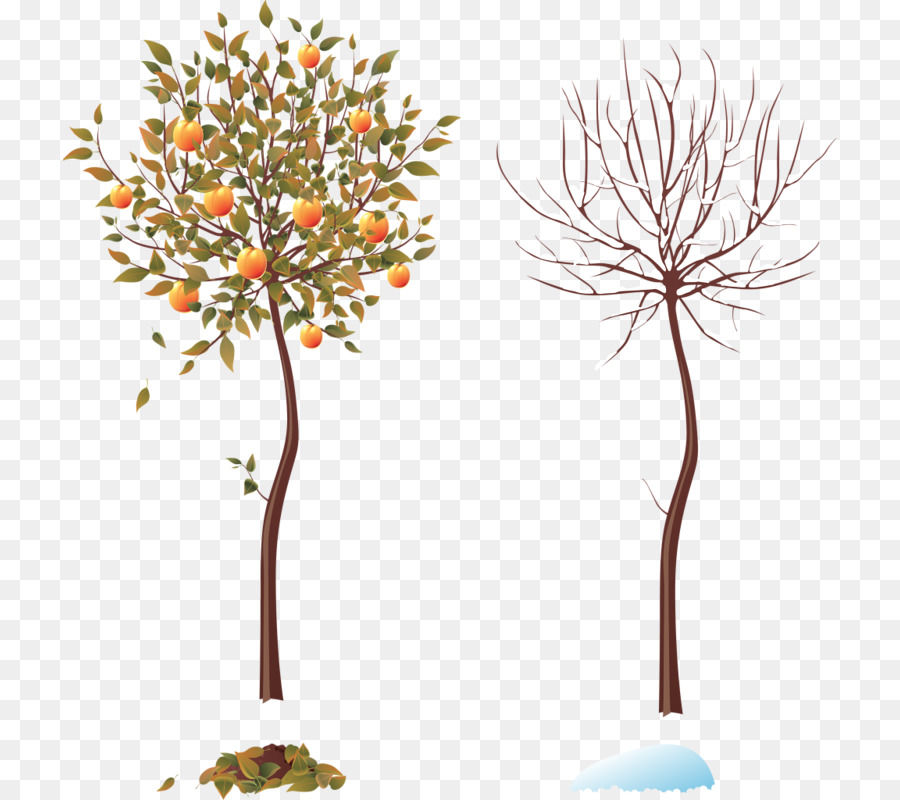 Saison Baum Herbst installationskunst Winter - vier Jahreszeiten Baum