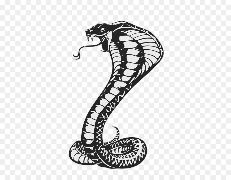 Rắn Vẽ King cobra Cobras - hình xăm con rắn png tải về - Miễn phí trong  suốt Đen Và Trắng png Tải về.