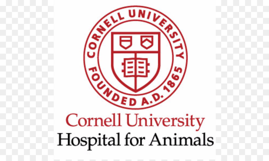 Cornell University Logo Brand Di Carattere Adesivo - linea