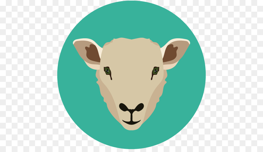 Pecore Copake Ospedale Veterinario Illustrazione di arte di Clip di fotografia Stock - pecore