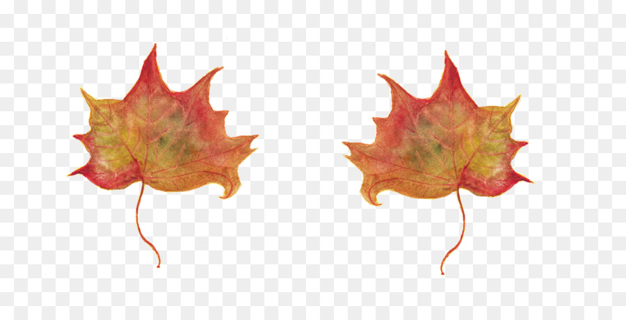 In un qualsiasi mattino di settembre Maple leaf E-book - le foglie secche
