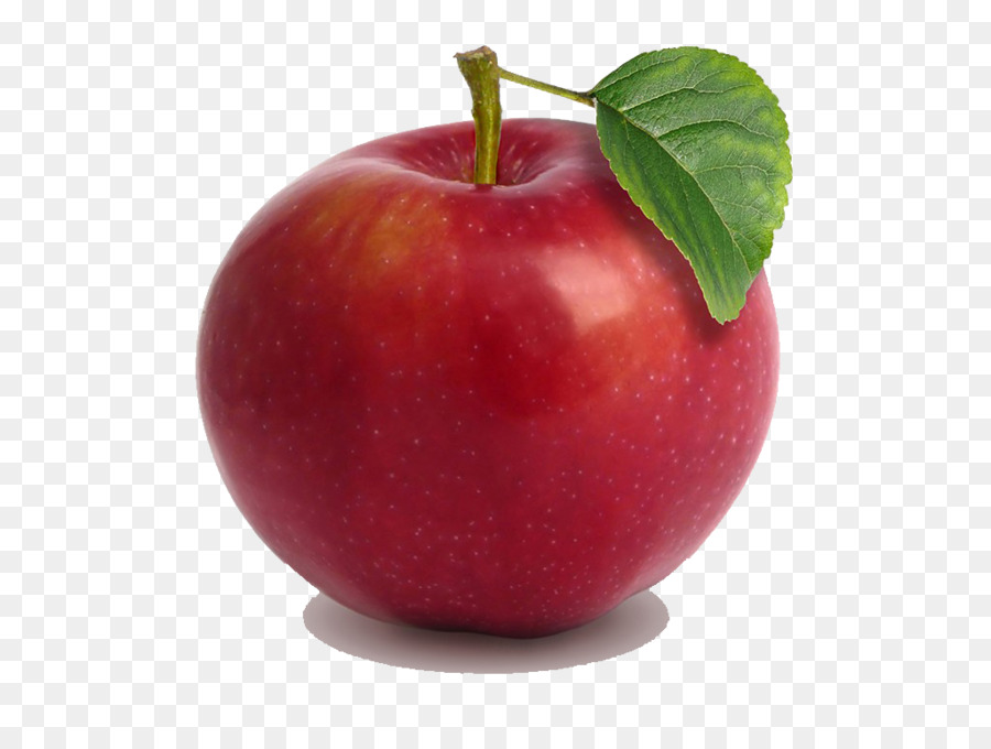 Trái cây và Rau quả cho Em tìm Hiểu về trái Cây Học trái Cây Và Rau quả - con