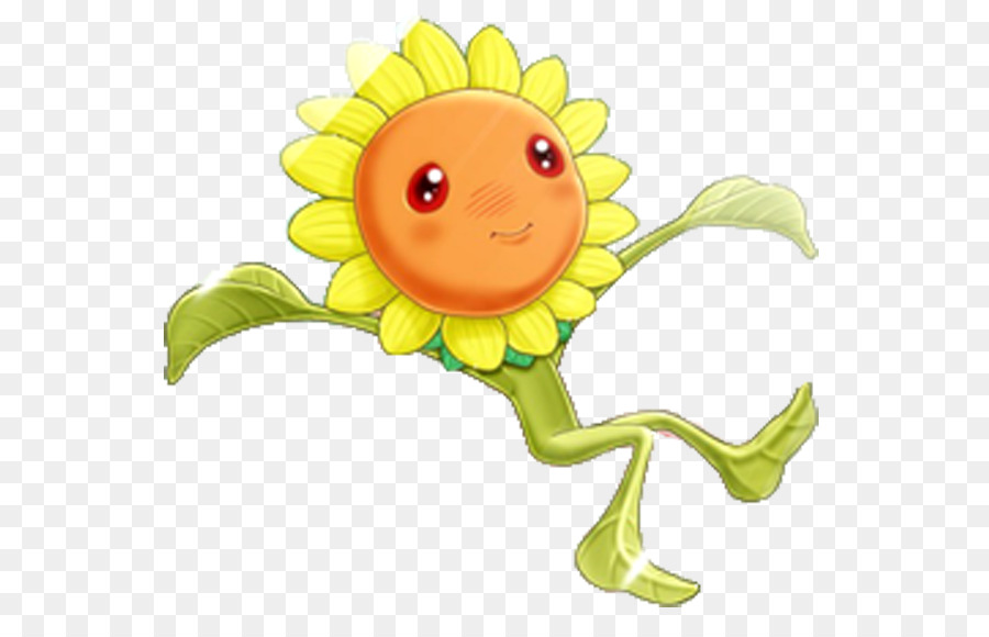 sunflower m, Clip-art-Illustration Portable Network Graphics Image - Sonnenblumen bean