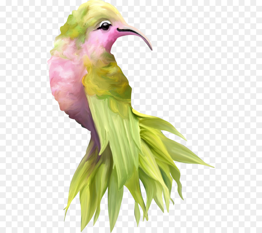 Tạo hình con chim công đầy màu  Lớp vẽ sáng tạo PAART  Facebook