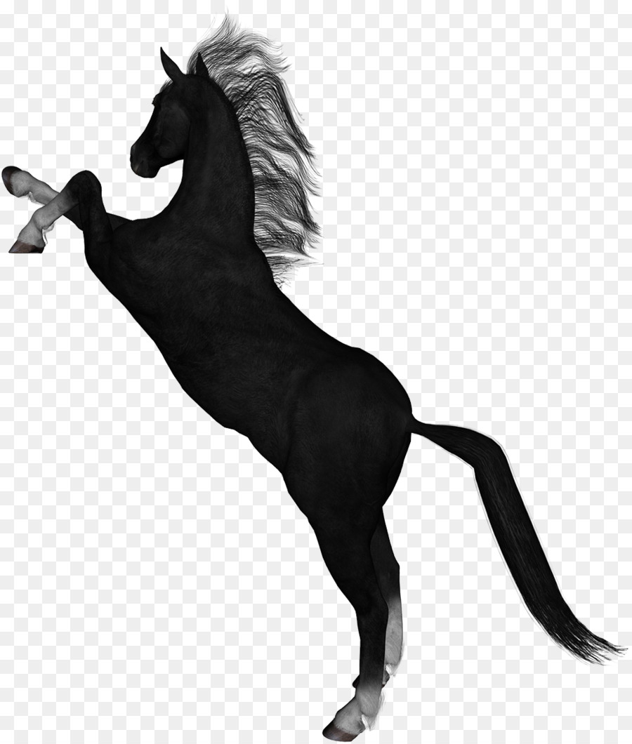 Con Ngựa Mustang Thuần Ngựa Đồ Họa Mạng Di Động - mustang