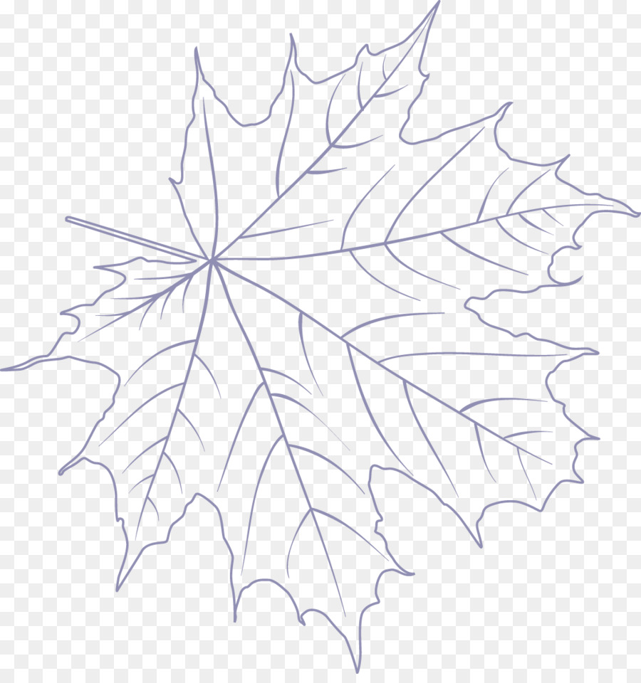 Maple leaf /m/02csf Zeichnung Symmetrie Linie Kunst - Herbst Blatt, Farbe