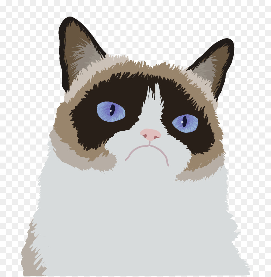 Grumpy Cat Kitten Cibo Per Gatti Portable Network Graphics - gatto
