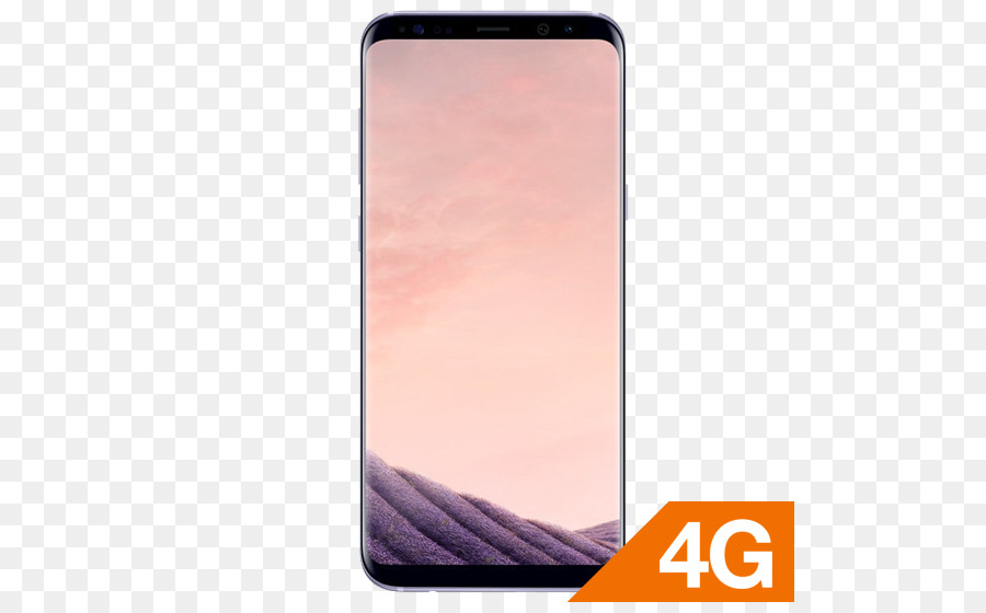 Smartphone Samsung Galaxy S8 + 64 gb - arancione grigio