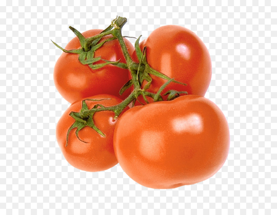 Mai, cà chua chua Bụi cây thực Vật ăn Chay - cà chua