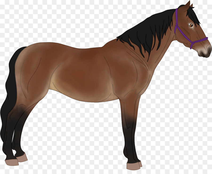 Thuần Chủng Bờm Ngựa Ngựa Breyer Động Vật Sáng Tạo - khai hoang đất