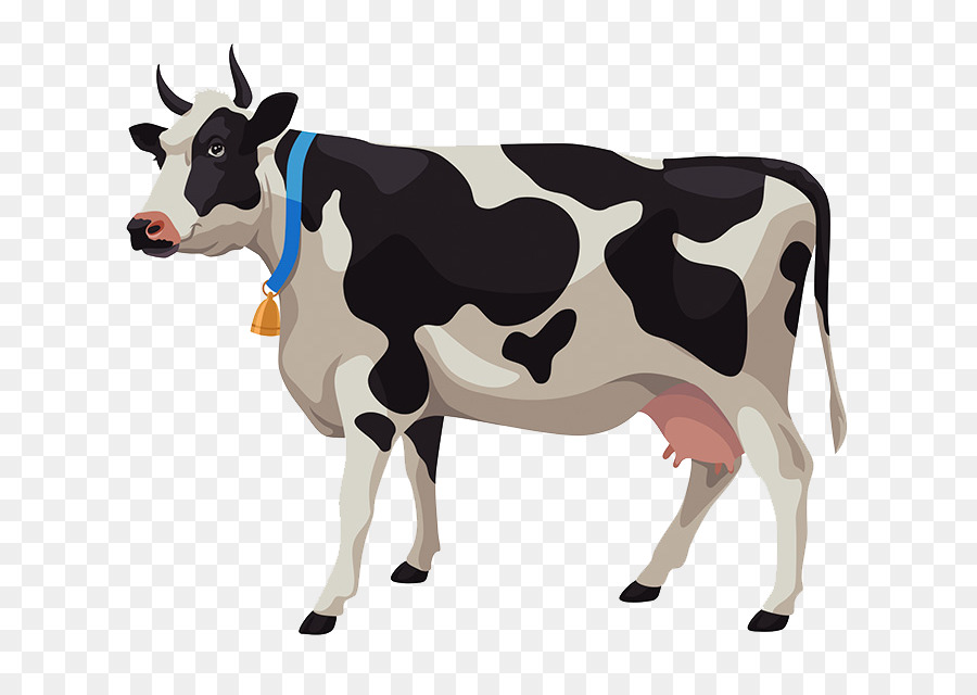 Rinder Baka-Vektor-Grafiken Milchkühe Clip-art - Kuh ghee