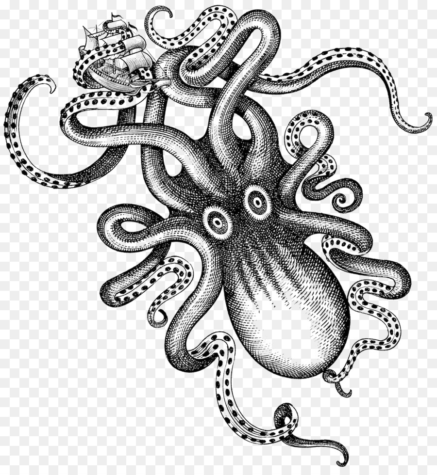 Kraken Rum Likör Octopus - Aquarell octopus