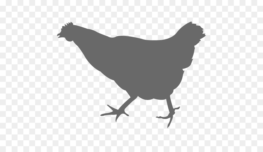 Pollo grafica Vettoriale Silhouette Ampio - pollo