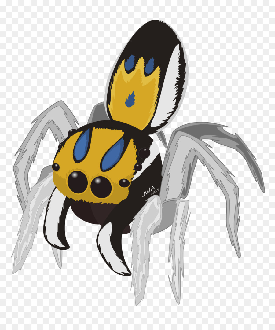 Peacock nhện Nhảy nhện hình Ảnh - con nhện png tải về - Miễn phí ...