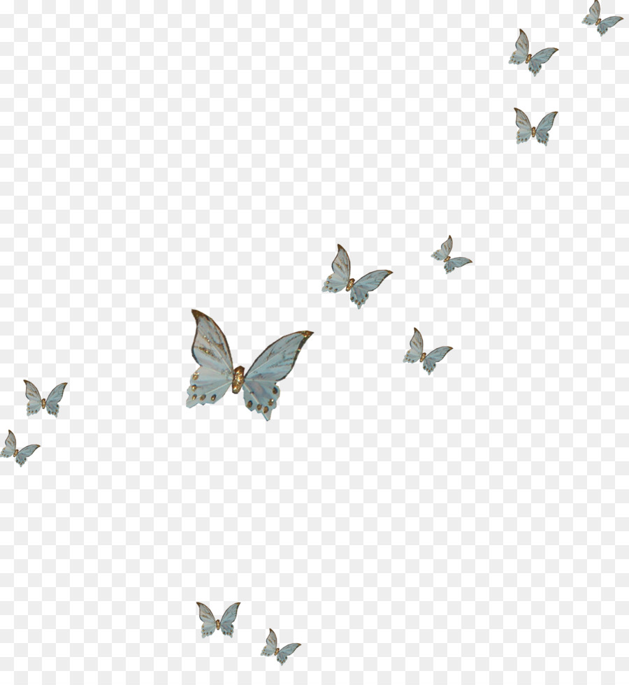 Đồ Họa Nền Máy Tính Minh Họa Mô Hình Chữ - bướm trung quốc