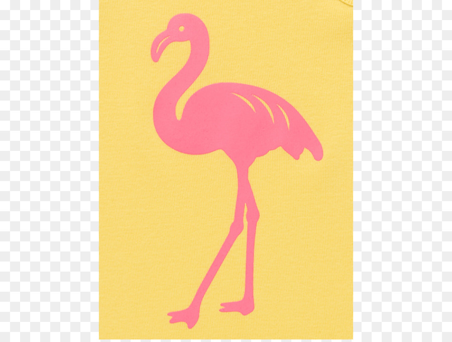 Rosa M Becco Piume Di Fenicottero - flamingo acquerello