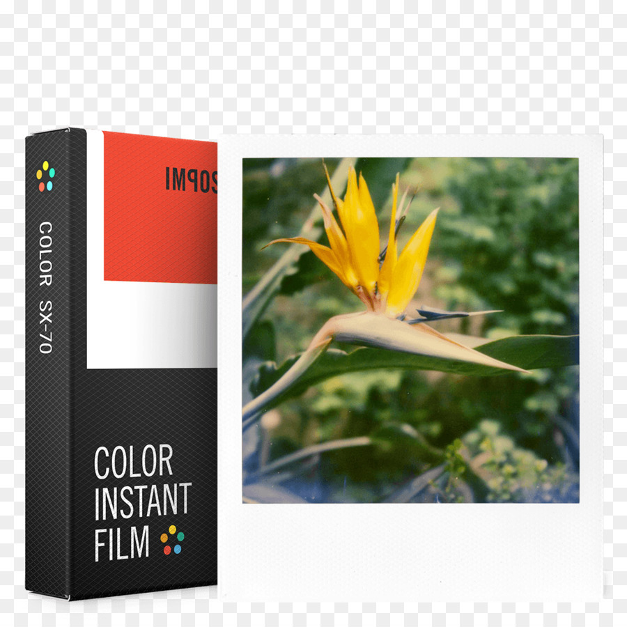 Polaroid SX 70, la pellicola Fotografica macchina fotografica Istantanea pellicola Istantanea Polaro - Film Polaroid