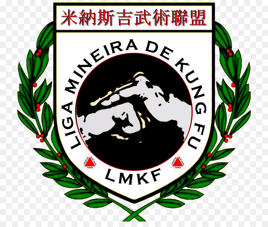 Liga Nacional de Kung Fu chinesische Kampfkunst Tai Lung Liga Paulista de Kung Fu - Kungfu