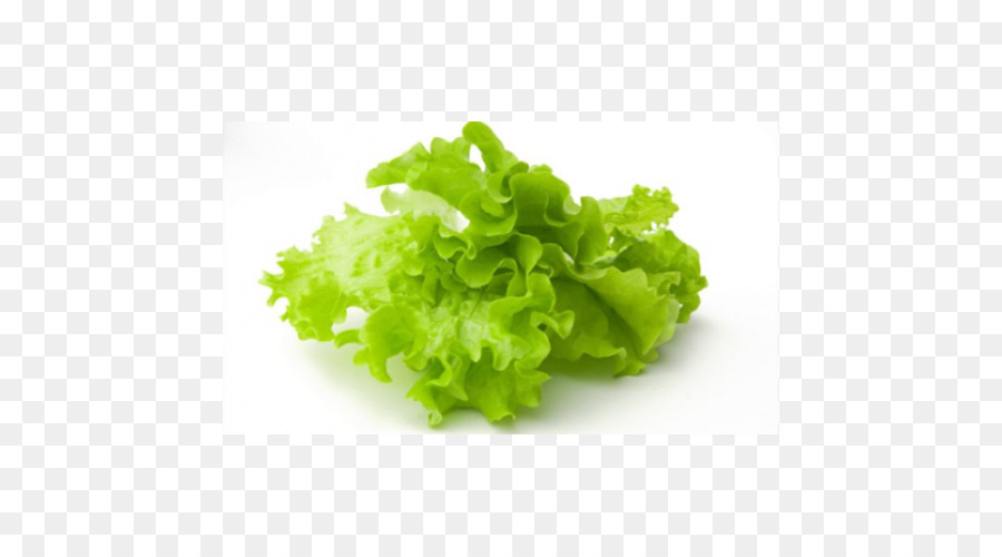 Salat Eisbergsalat Gemüse-Kräuter-Obst - Salat