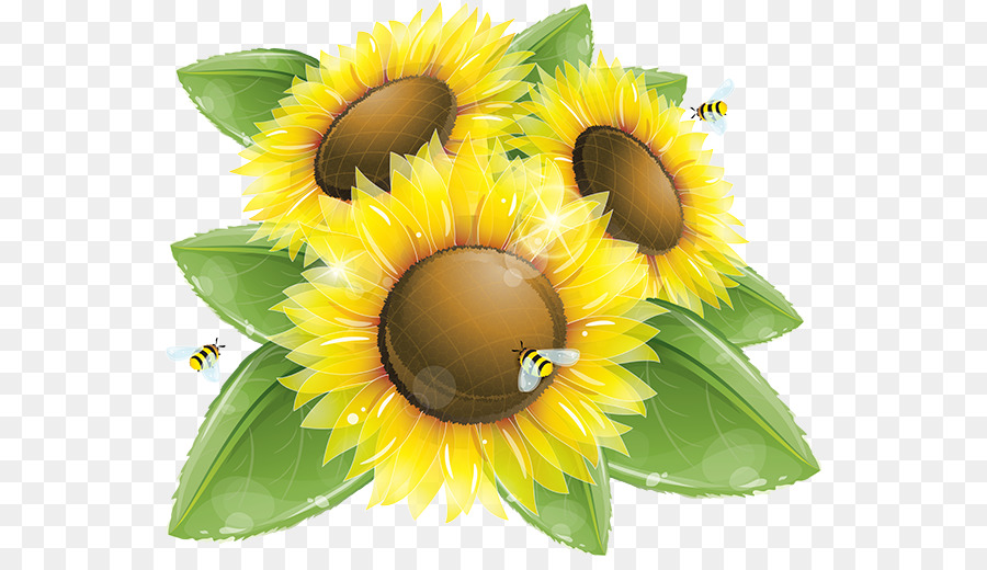 Gemeinsame Sonnenblume Vektor-Grafik-clipart Illustration - Sonnenblume