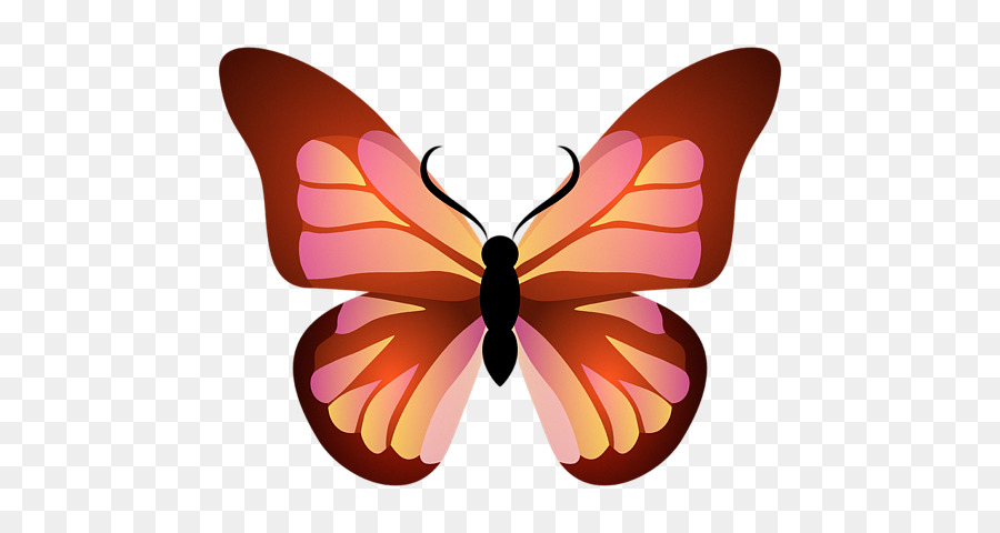 Desktop Wallpaper Schmetterling Gobelin Bild Handys - Dekorative Schmetterling