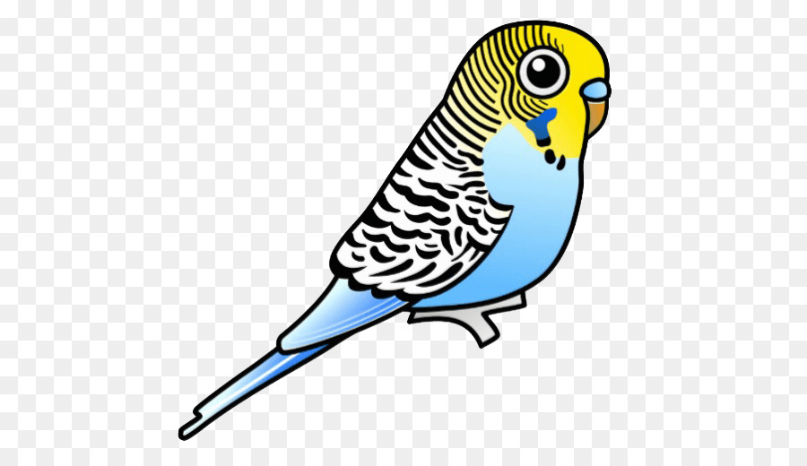 Wellensittich Papagei Vogel Sittich Clip art - Papagei