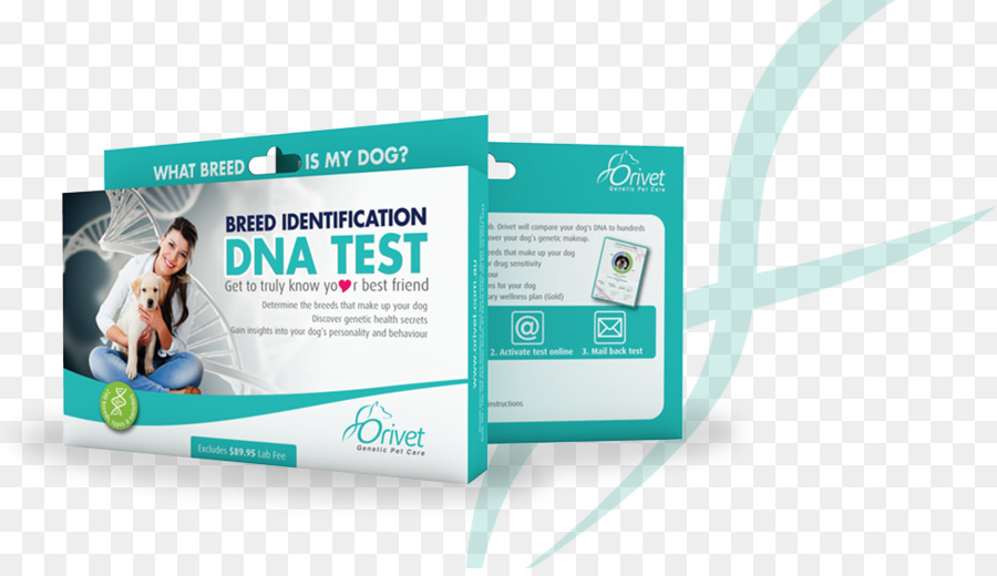 Hund Rasse Genetische Tests Genealogischen DNA-test - dna Tests