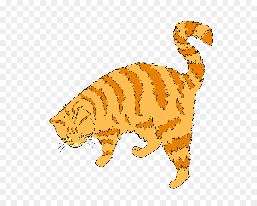Gattino Baffi della Tigre Tabby cat Wildcat - gattino