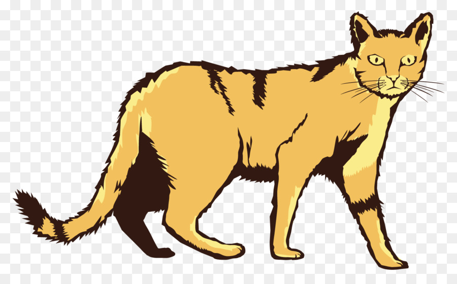 Schnurrhaare Wildcat Inländische kurzhaarige Katze-clipart-Cymric - Himalaya Katze