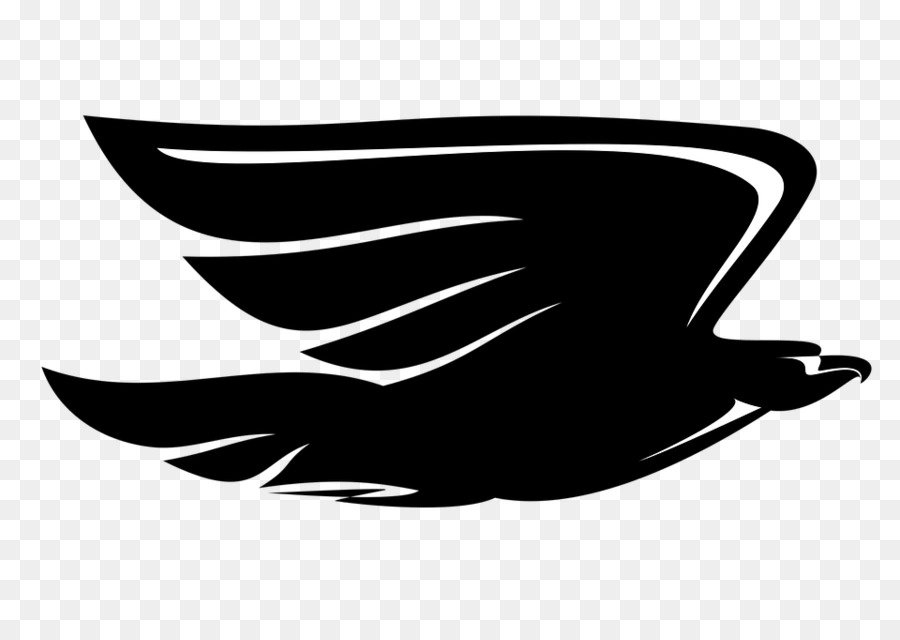 Eagle Cartoon png download - 960*678 - Free Transparent Black And White png  Download. - CleanPNG / KissPNG