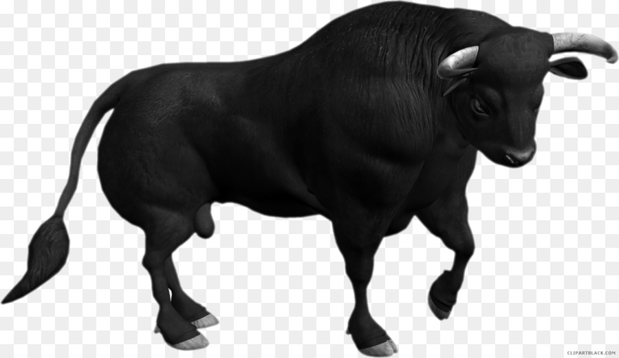 Ox Angus gia súc Là súc vật, Cầm đồ Họa Mạng Clip nghệ thuật - Bull