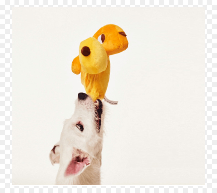 Giraffe Plüschtiere & Kuscheltiere Schnauze - der Spielzeug Hund