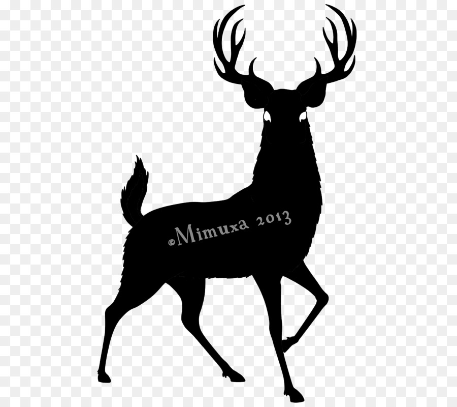 Cervo dalla coda bianca Moose Clip art grafica Vettoriale - cervo
