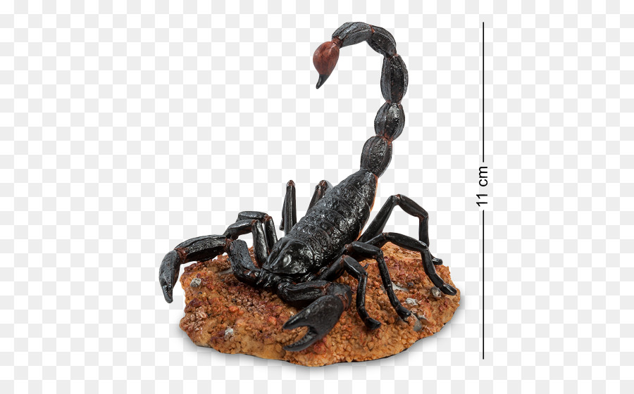 Imperatore scorpione, Animale, Aracnide Shutterstock - scorpione