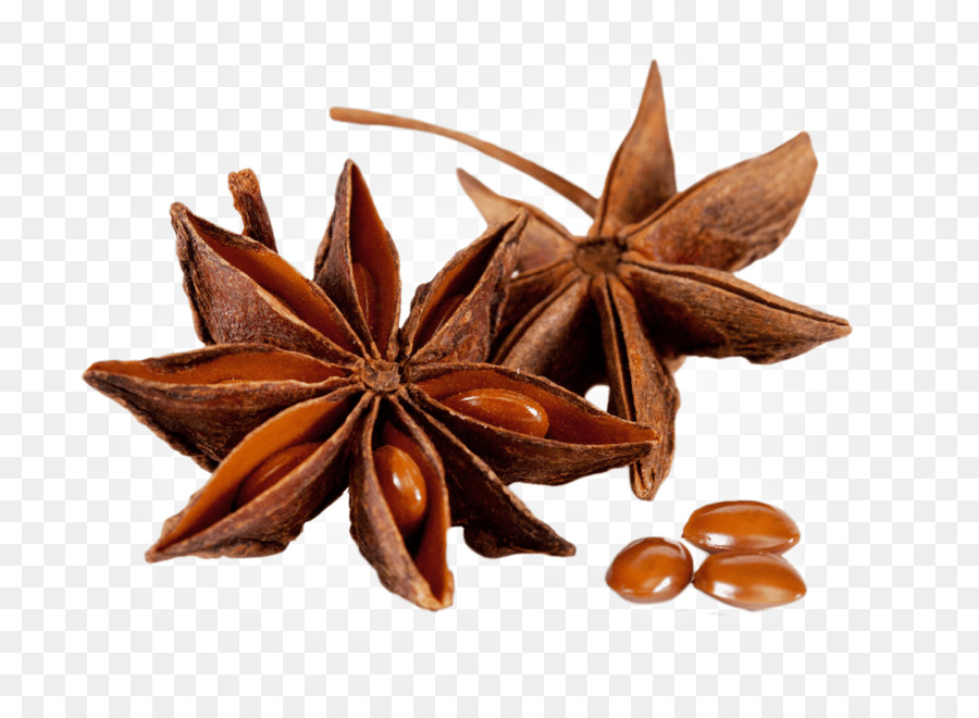 Spice anice stellato Foeniculum vulgare Sapore - arrosto vero