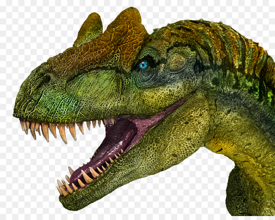 Allosaurus Tyrannosaurus Carnotaurus Dinosaurier Ceratosaurus - Dinosaurier