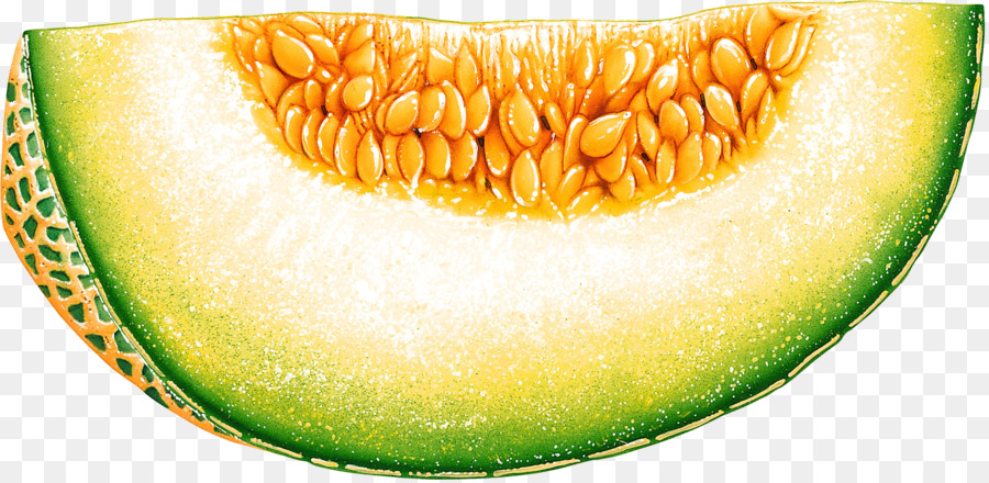 Melata di Melone Cantalupo di Frutta Clip art - melone