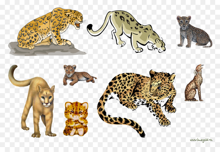 Báo Cheetah Mèo Con Sư Tử Jaguar - báo