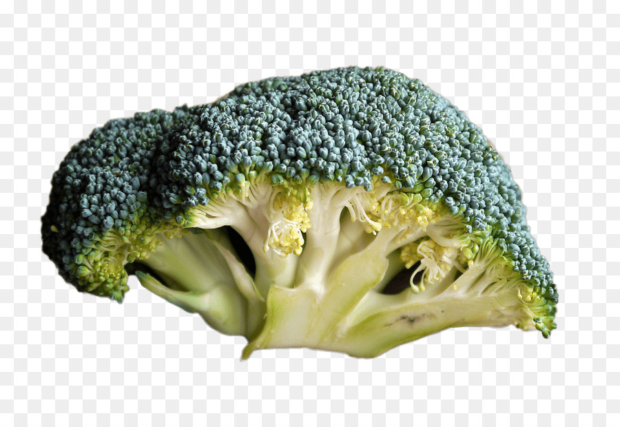 Broccoli cibo Biologico, Crudo foodism Mangiare - broccoli