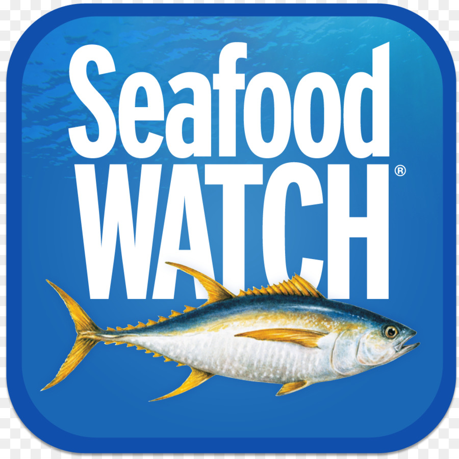 Sardine Pesce prodotti a base di Pesce di biologia Marina dell'Acqua - acqua