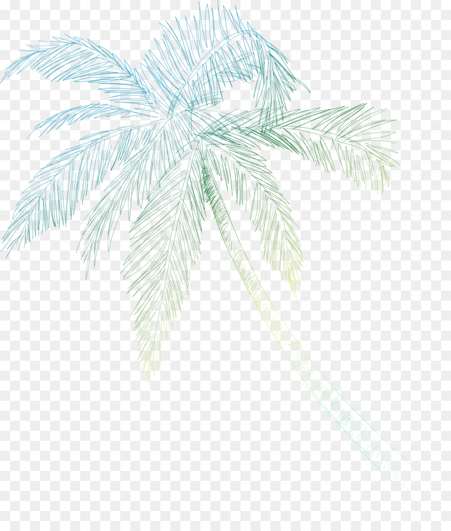 Palmen, Dattelpalme Linie Blatt-Verzweigung - Kokosnuss-Schale-clipart