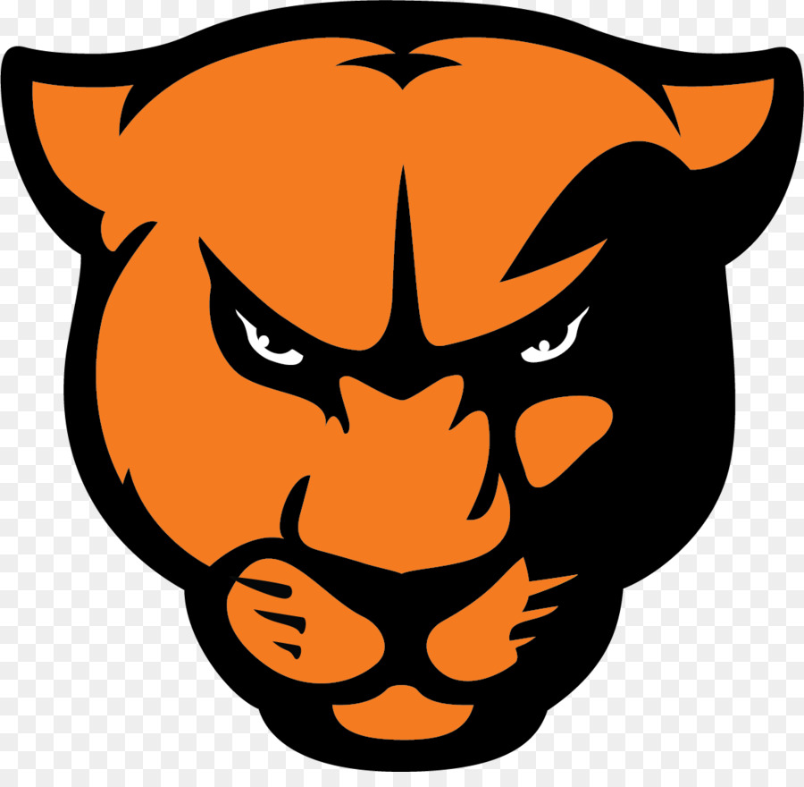 Greenville University Greenville College Panthers football: St. Louis Intercollegiate Athletic Conference Millsaps College American football - American Football