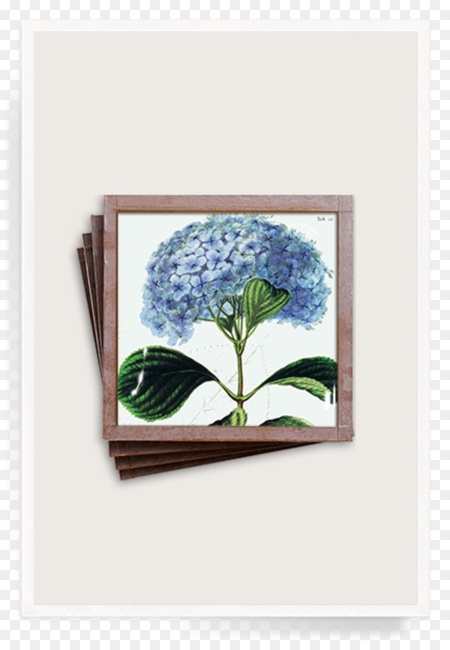 Ben ' s Garten 'Blaue Hortensie' Trinket Tray   Blaue Lackierung French hydrangea Blumen Bilderrahmen - Hortensie