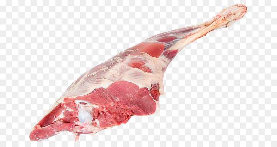 Carne di capra Anglo-capra Nubiana Halal Gosht - carne