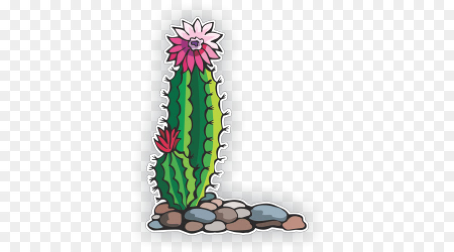 Clip-art Kaktus-Blumen-Bild-Zeichnung - Kaktus