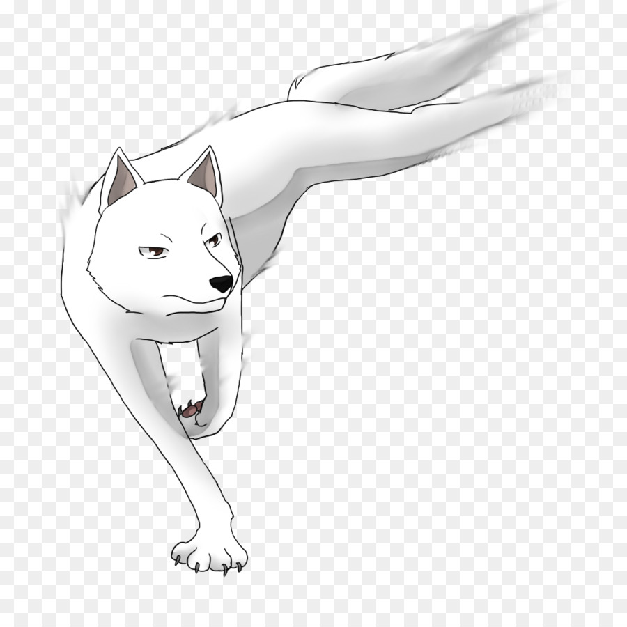 Whisker-Zeichnung Hund-Katze /m/02csf - das Akame wallpaper