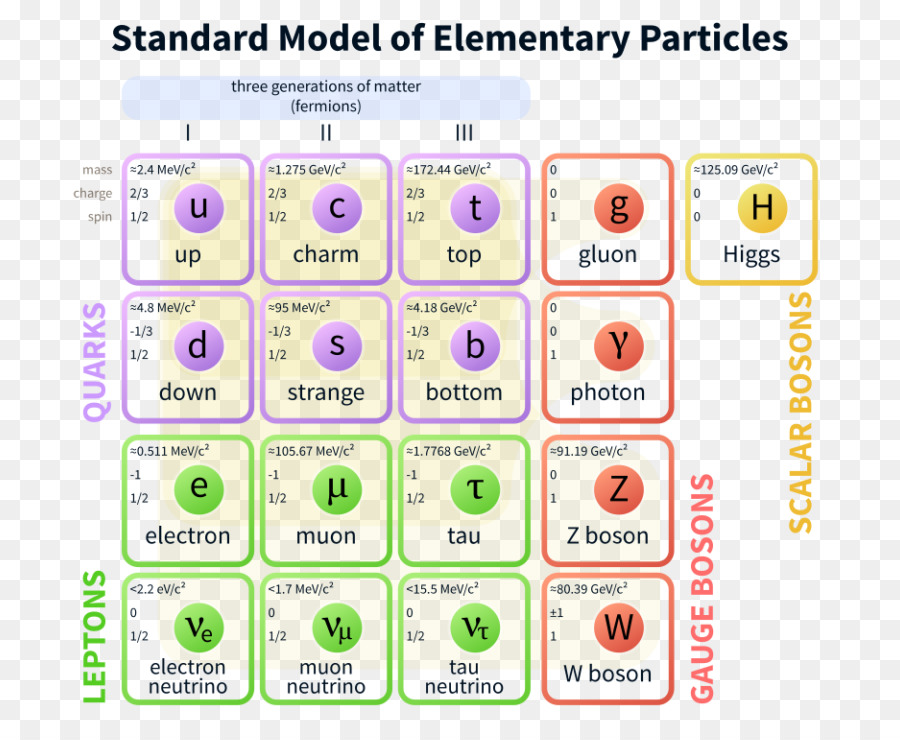 Il Modello Standard delle Particelle Elementari interazioni Fondamentali - modello standard della fisica delle particelle