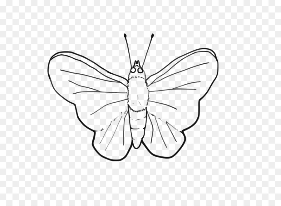 Clip art farfalla Monarca Disegno in bianco e Nero Openclipart - farfalla linea arte